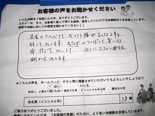 ���q�l�̐�13