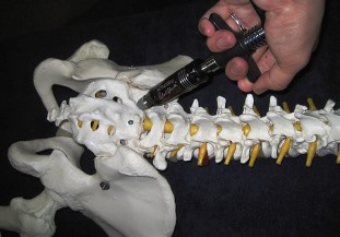 ���Ջ���